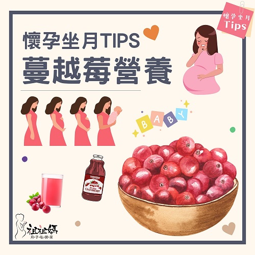【祖祖媽懷孕坐月飲食知識】蔓越莓適合孕婦及坐月食用嗎？