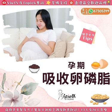 【祖祖媽懷孕坐月知識】孕期需要吸收卵磷脂嗎？坐月營養Tips